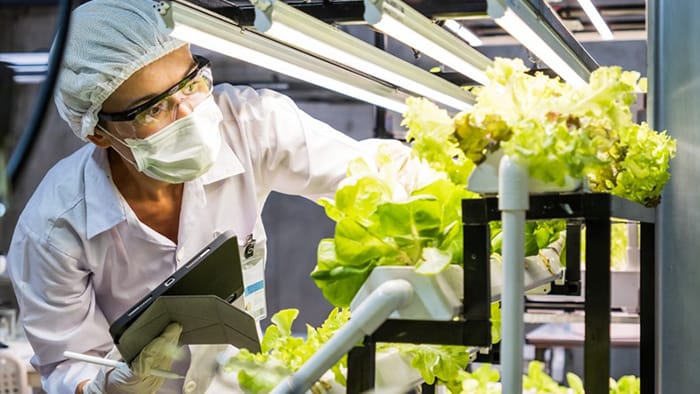 Sistema de gestión de la seguridad alimentaria ISO22000 ver 2018.