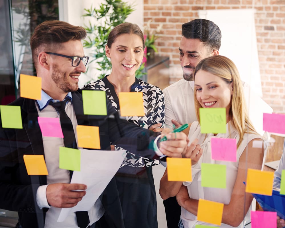 Desarrollamos programas de formación en riesgos, sistemas de gestión de calidad, medio ambiente, seguridad y salud en el trabajo.